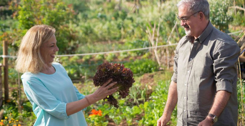 Senior couple planting flowers and vegetables together in their garden.